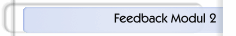 Feedback Modul 2