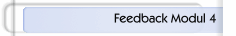 Feedback Modul 4